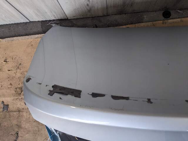 12-18 OEM BMW F30 F80 SEDAN Trunk Lid Panel Deck Assembly