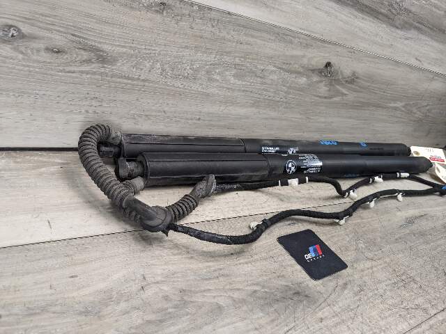 11-17 OEM BMW F25 X3 Rear Left Right Trunk Tailgate Shock Hatch Strut Pair
