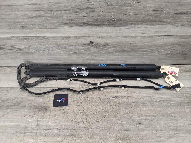 11-17 OEM BMW F25 X3 Rear Left Right Trunk Tailgate Shock Hatch Strut Pair