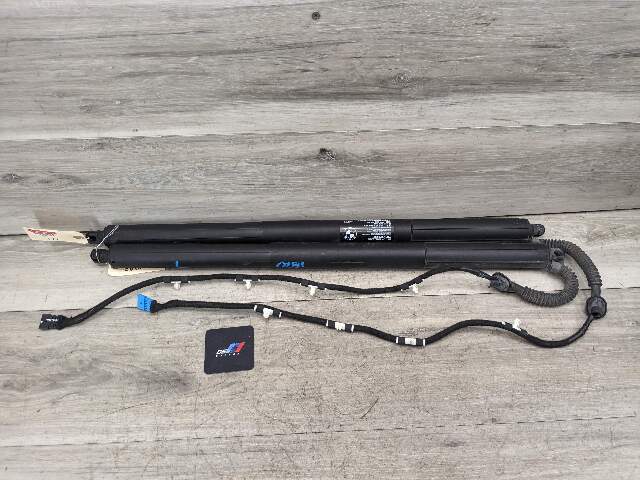 11-17 OEM BMW F25 X3 Rear Left Right Trunk Tailgate Shock Hatch Strut Pair