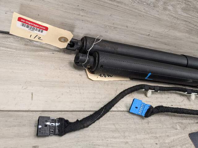 11-17 OEM BMW F25 X3 Rear Left Right Trunk Tailgate Shock Hatch Strut Pair