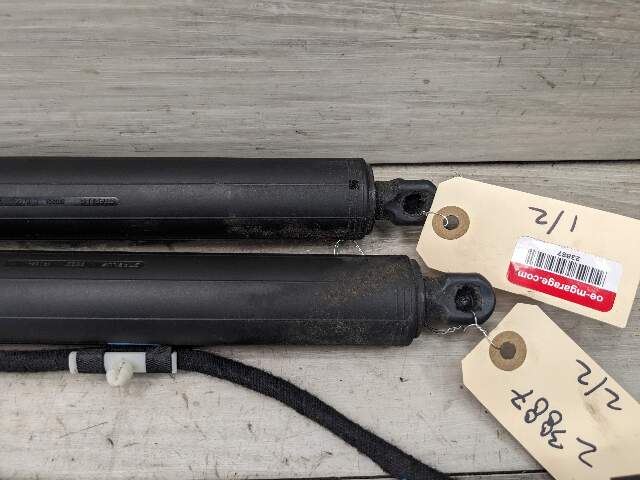 11-17 OEM BMW F25 X3 Rear Left Right Trunk Tailgate Shock Hatch Strut Pair