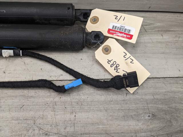 11-17 OEM BMW F25 X3 Rear Left Right Trunk Tailgate Shock Hatch Strut Pair