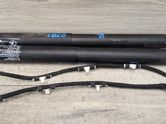 11-17 OEM BMW F25 X3 Rear Left Right Trunk Tailgate Shock Hatch Strut Pair