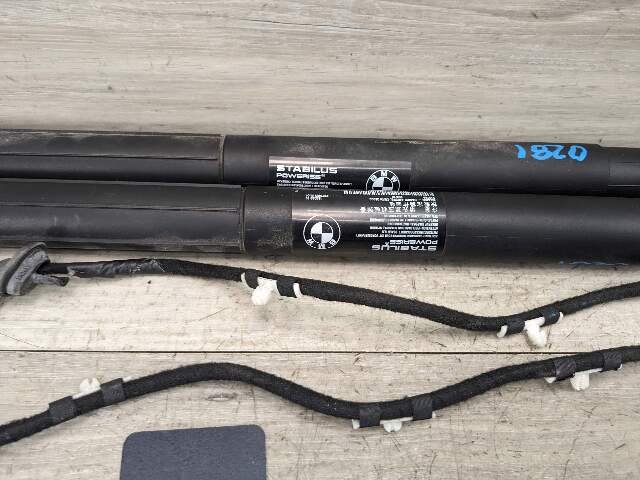 11-17 OEM BMW F25 X3 Rear Left Right Trunk Tailgate Shock Hatch Strut Pair