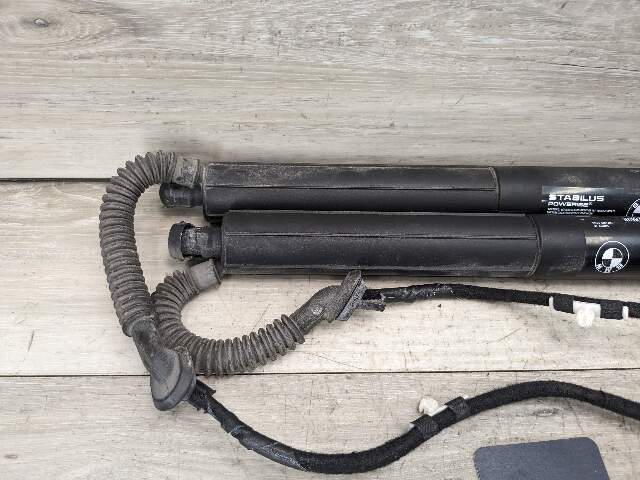 11-17 OEM BMW F25 X3 Rear Left Right Trunk Tailgate Shock Hatch Strut Pair