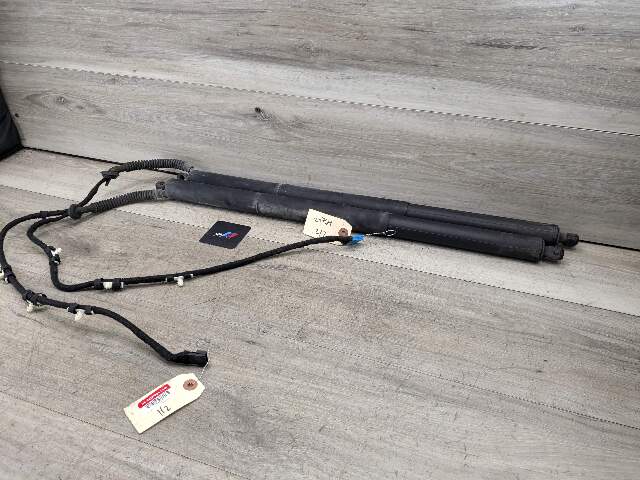 11-17 OEM BMW F25 X3 Rear Left Right Trunk Tailgate Shock Hatch Strut Pair