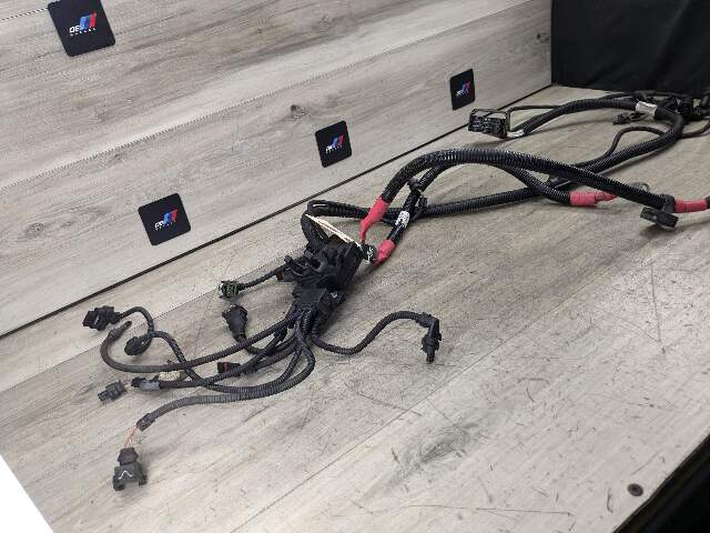 OEM BMW F10 F15 F16 F15 X5 X6 535 Engine N55 Wiring Wire Harness Cable