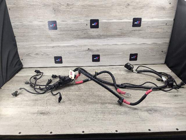 OEM BMW F10 F15 F16 F15 X5 X6 535 Engine N55 Wiring Wire Harness Cable