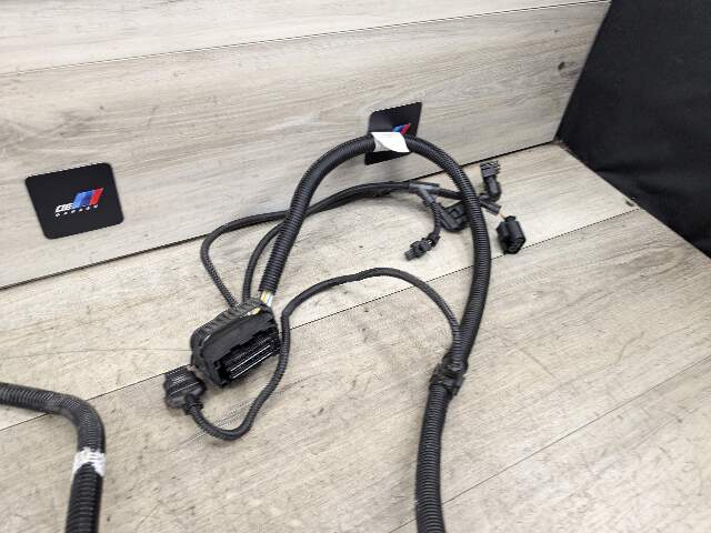 OEM BMW F10 F15 F16 F15 X5 X6 535 Engine N55 Wiring Wire Harness Cable