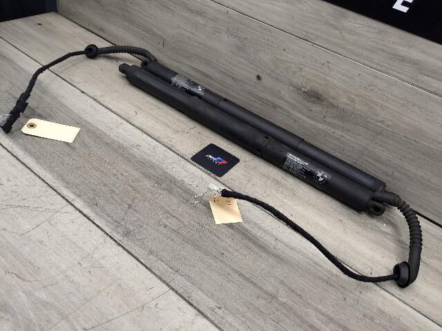 OEM BMW F15 F85 X5 X5M REAR Left Right Trunk Tailgate Shock Hatch Strut PAIR
