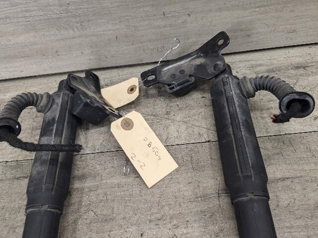 07-13 OEM BMW E70 X5 REAR Left Right Trunk Tailgate Shock Hatch Strut PAIR