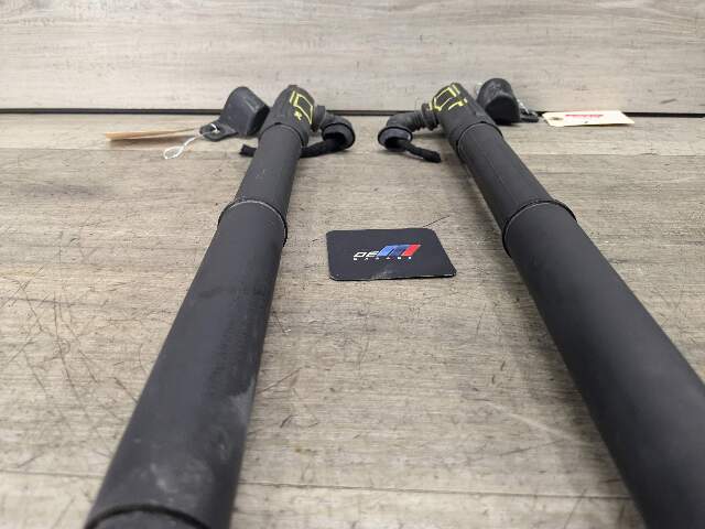 07-13 OEM BMW E70 X5 REAR Left Right Trunk Tailgate Shock Hatch Strut PAIR