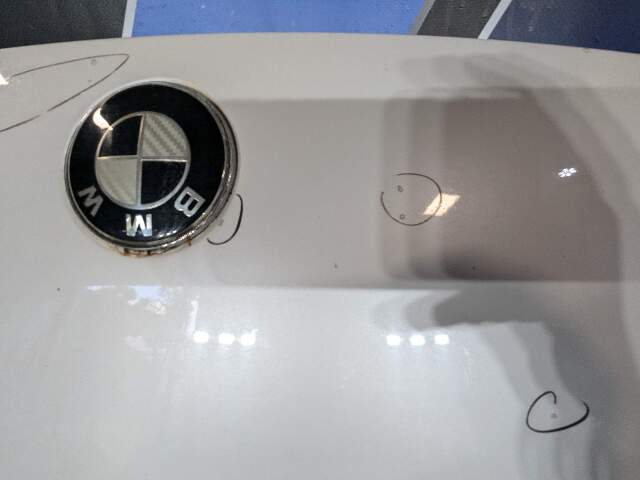 CHIPS* 09-15 OEM BMW F01 F02 740 750 760 Front Hood Bonnet Panel White
