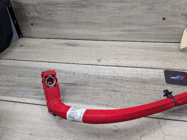 18-24 OEM BMW G01 G02 F98 X3 X4 Battery Plus Pole Terminal Positive Red Cable
