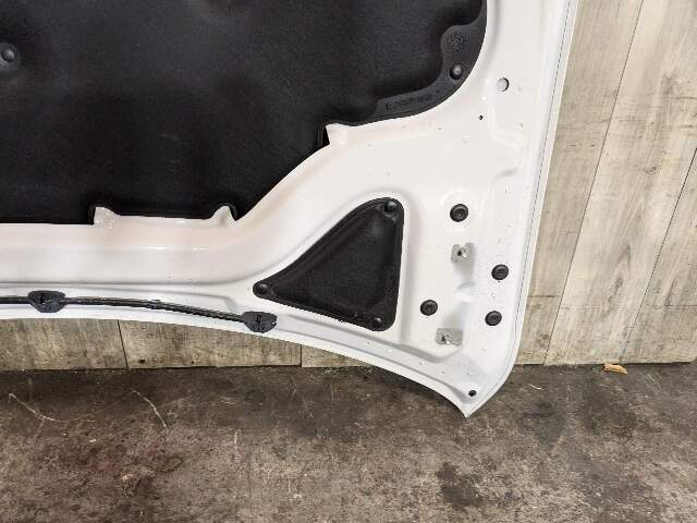 *19-23 OEM BMW G05 G06 X5 X6 SUV Hood Panel Bonnet Shell White 300