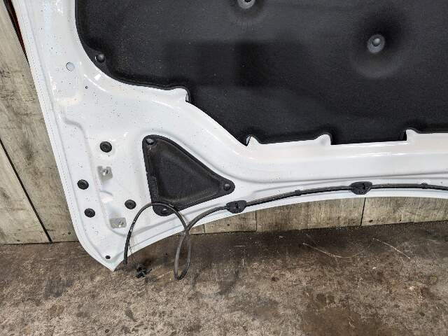 *19-23 OEM BMW G05 G06 X5 X6 SUV Hood Panel Bonnet Shell White 300
