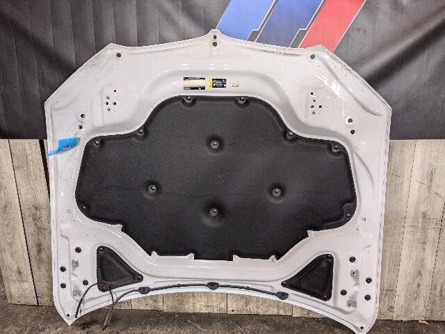 *19-23 OEM BMW G05 G06 X5 X6 SUV Hood Panel Bonnet Shell White 300