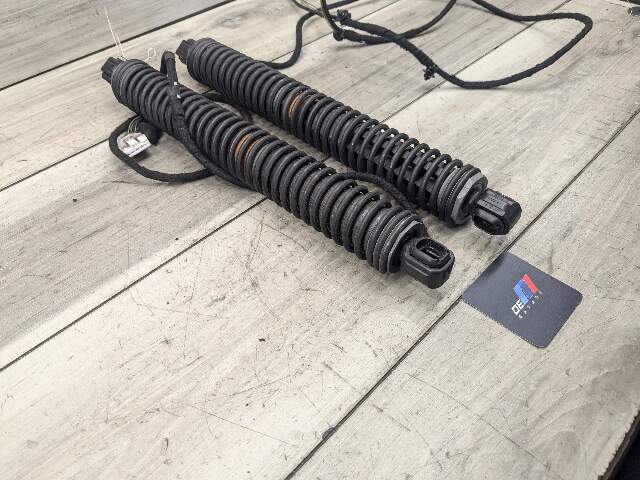 09-15 OEM BMW F01 F02 740 750 760 Rear Left Right Trunk Shock Strut Actuator SET
