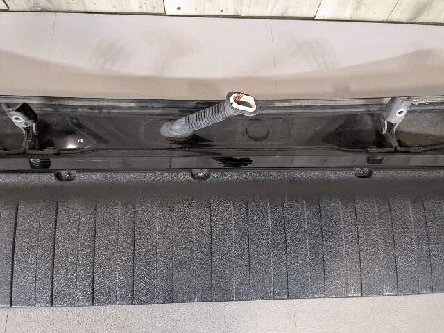 *14-18 OEM BMW F15 F85 X5 X5M Rear Lower Trunk Tailgate Door Panel Deck Lid