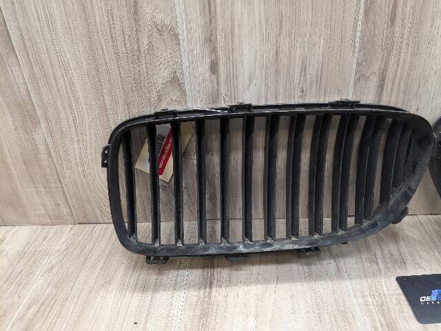 OEM BMW F10 528 535 550 Front Left Right Side Bumper Chrome Grille Insert SET
