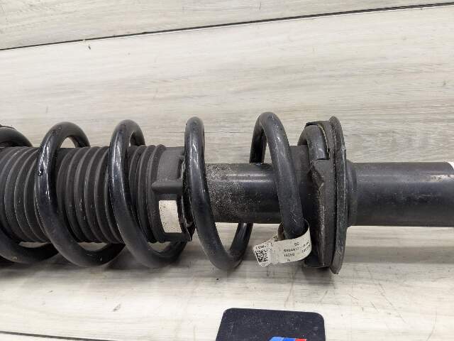 18-24 OEM BMW G01 X3 30i 30iX REAR Left Right Side Strut Shock Absorber Spring
