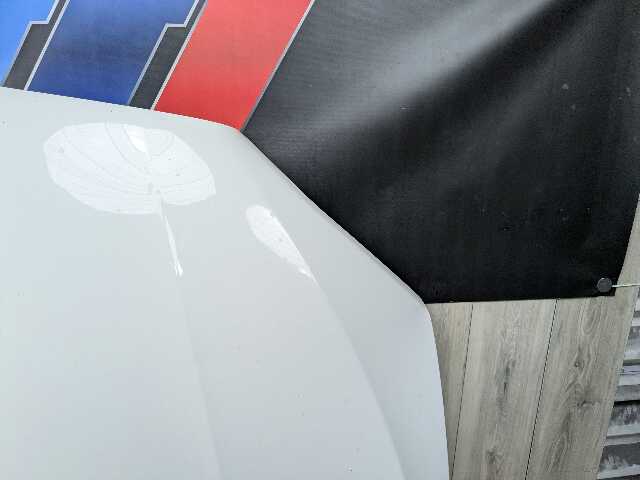 14-19 OEM BMW F15 F16 F85 F86 X5 X6 X5M X6M Hood Bonnet Panel White 300