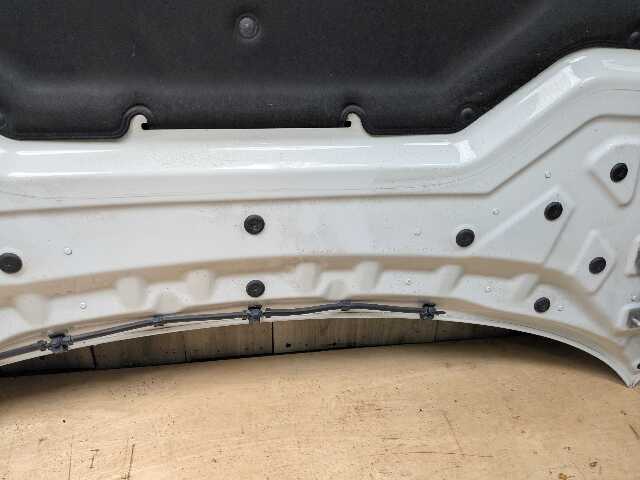 14-19 OEM BMW F15 F16 F85 F86 X5 X6 X5M X6M Hood Bonnet Panel White 300