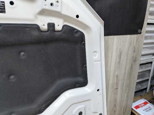 14-19 OEM BMW F15 F16 F85 F86 X5 X6 X5M X6M Hood Bonnet Panel White 300