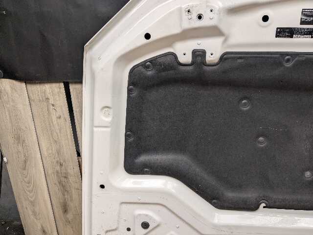 14-19 OEM BMW F15 F16 F85 F86 X5 X6 X5M X6M Hood Bonnet Panel White 300