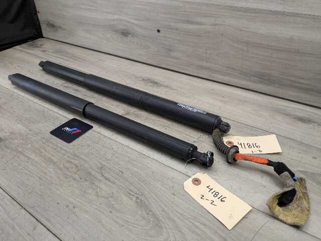 16-22 OEM BMW F48 X1 Rear Left Right Trunk Tailgate Shocks Supports Struts SET