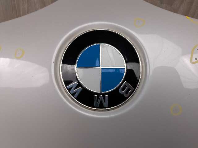 18-24 OEM BMW G01 G02 F97 F98 X3 X4 X3M X4M Hood Bonnet Shell Panel White A96