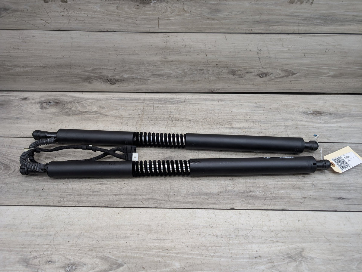 2014-2019 BMW 340 F34 Rear Left Right Liftgate Trunk Lid Strut Shock Supports SET 7298983 OEM