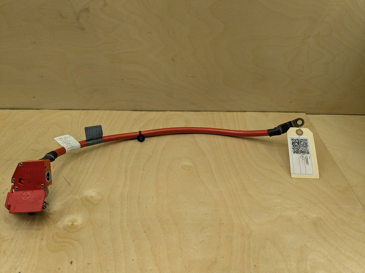 OEM BMW F15 F16 F85 F86 X5 X6 X5M Positive Plus Battery Pole Terminal Red Cable