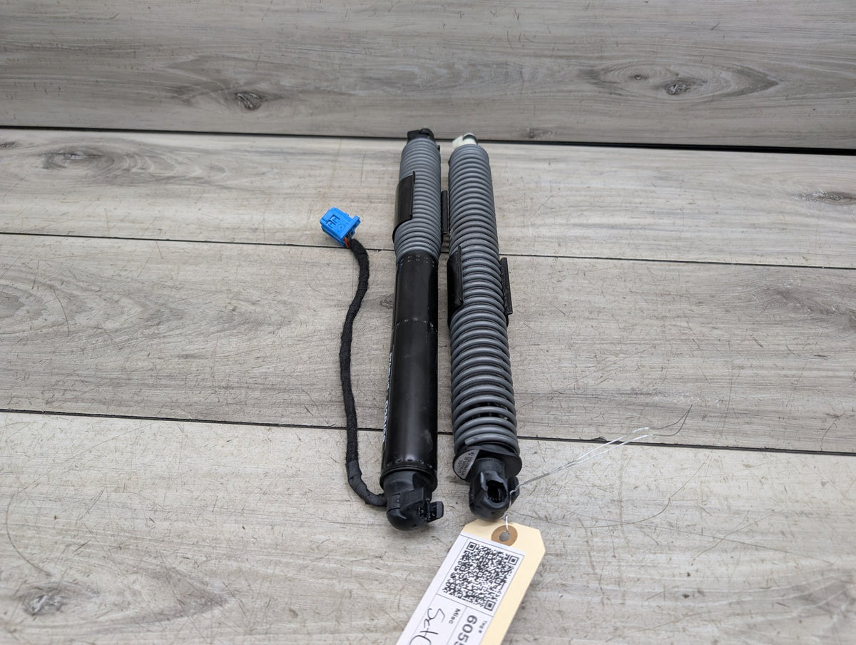 2017-2023 BMW 530i G30 Rear Left Right Liftgate Trunk Lid Strut Shock Supports SET 7366403 OEM
