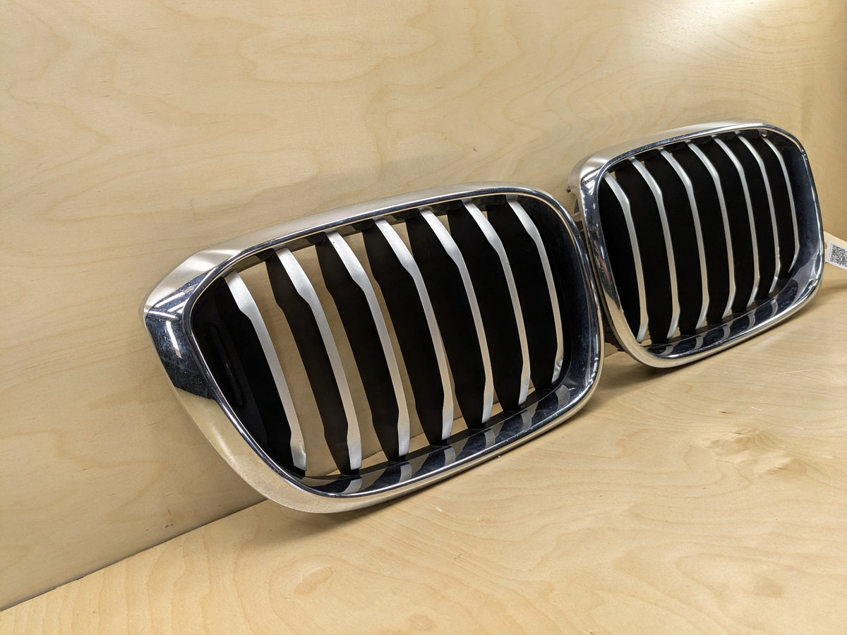 2018-2025 BMW X3 G01 Front Left Right Upper Bumper Cover Kidney Grilles SET 8091725 OEM