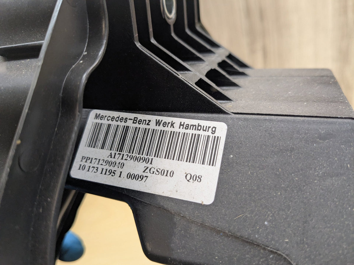 2009-2011 Mercedes-Benz SLK-Class R171 Gas Accelarator Pedal A1712900901 OEM