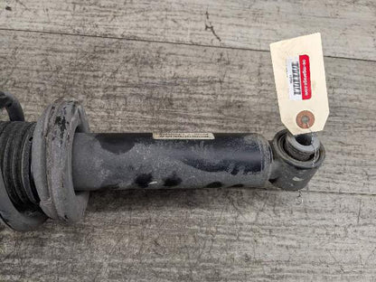 11-18 OEM BMW X3 F25 X4 F26 Rear Suspension Shock Strut SET w/ Spring