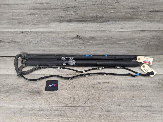 11-17 OEM BMW F25 X3 Rear Left Right Trunk Tailgate Shock Hatch Strut Pair