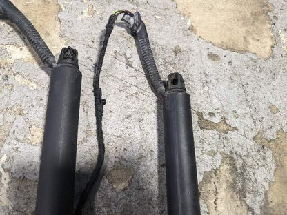 12-18 OEM BMW F31 328 Rear Left Right Trunk Tailgate Shock Hatch Strut PAIR
