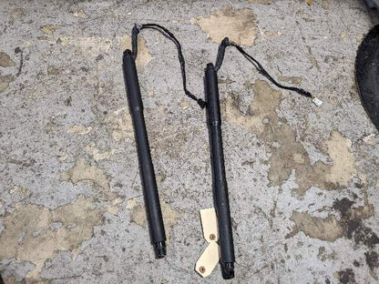 12-18 OEM BMW F31 328 Rear Left Right Trunk Tailgate Shock Hatch Strut PAIR