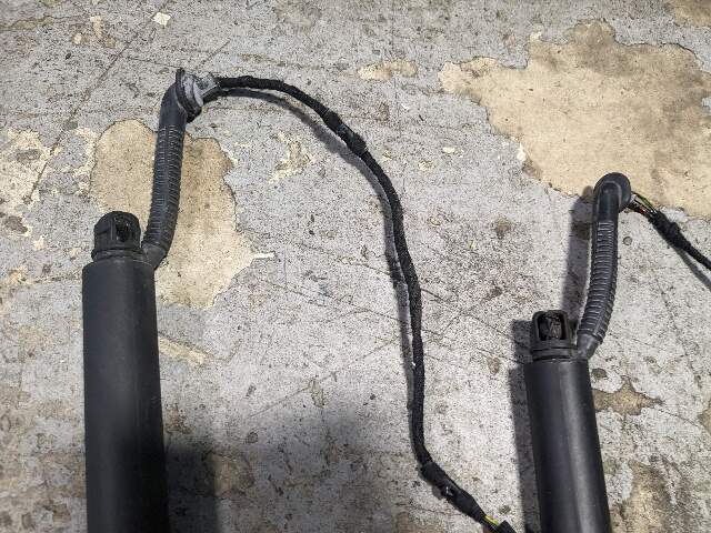 12-18 OEM BMW F31 328 Rear Left Right Trunk Tailgate Shock Hatch Strut PAIR