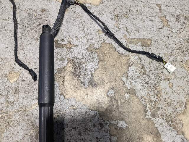 12-18 OEM BMW F31 328 Rear Left Right Trunk Tailgate Shock Hatch Strut PAIR