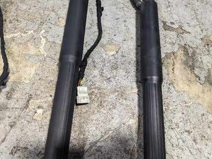 12-18 OEM BMW F31 328 Rear Left Right Trunk Tailgate Shock Hatch Strut PAIR