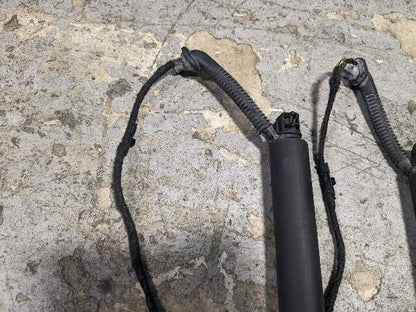 12-18 OEM BMW F31 328 Rear Left Right Trunk Tailgate Shock Hatch Strut PAIR