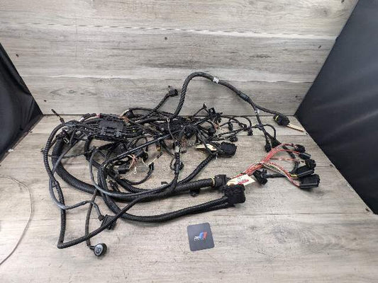 12-18 OEM BMW F07 F06 F12 F15 F16 F25 X5 X6 N55 Engine Wiring Wire Harness SET