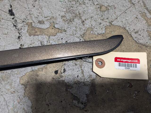 OEM BMW E70 X5 Front Left Driver Side Windshield Drip Rail Cover Trim Brown