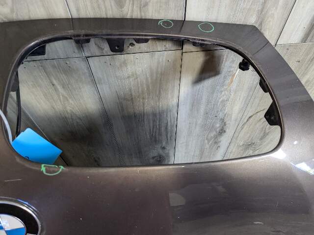 10-13 OEM BMW E70 X5 E71 X6 Hood Bonnet Panel Bronze B06*