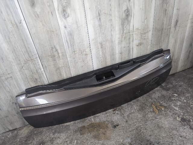 14-18 OEM BMW F15 F85 X5 X5M Rear Lower Trunk Tailgate Door Panel Deck Lid
