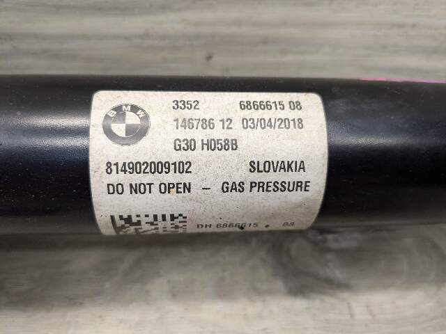 OEM BMW G30 530 540 REAR Left Right Suspension Strut Shock Absorber w/ Spring